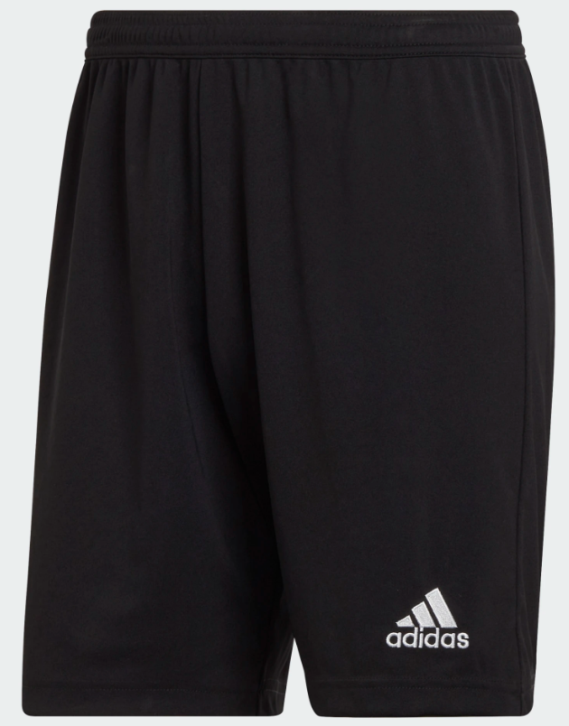 Development School Black Training Shorts